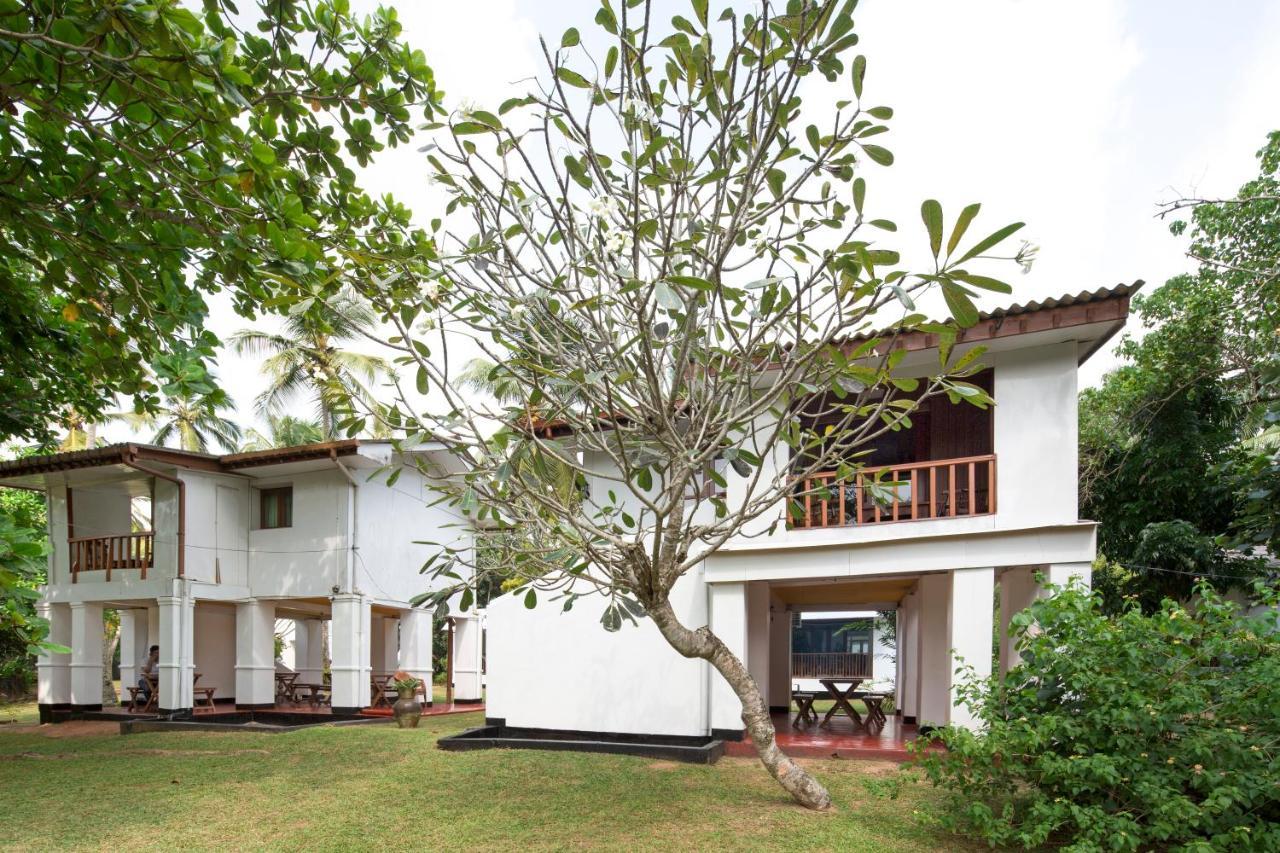 Palm Beach Inn & Sea Shells Cabanas Bentota Exterior photo