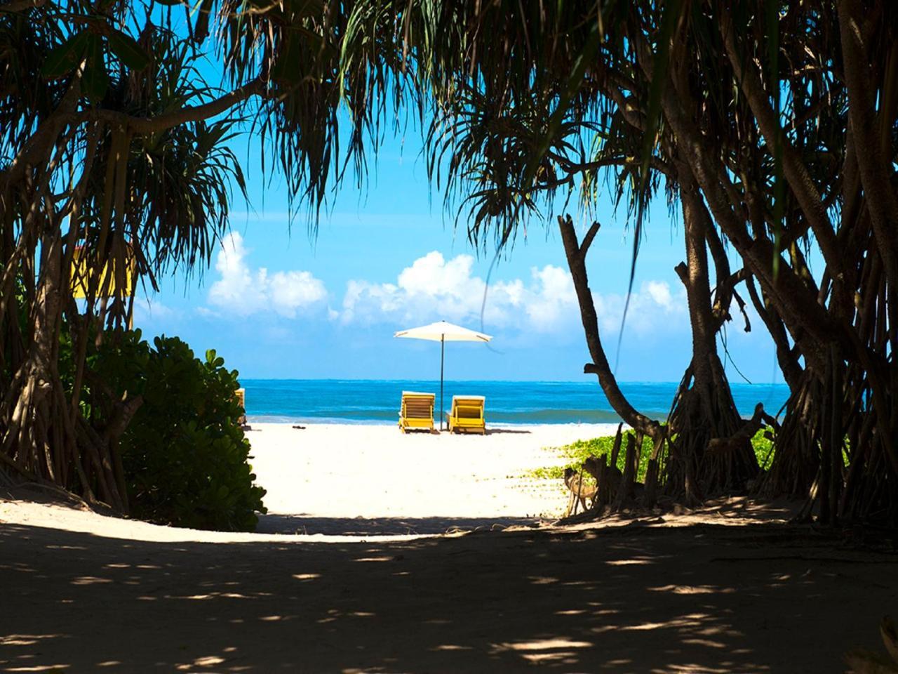 Palm Beach Inn & Sea Shells Cabanas Bentota Exterior photo