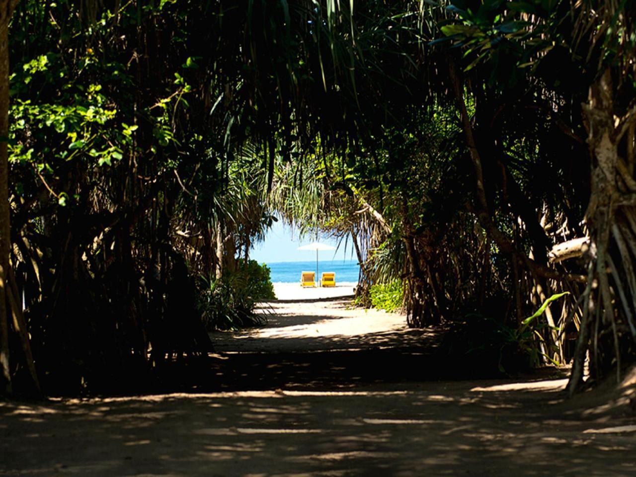 Palm Beach Inn & Sea Shells Cabanas Bentota Exterior photo